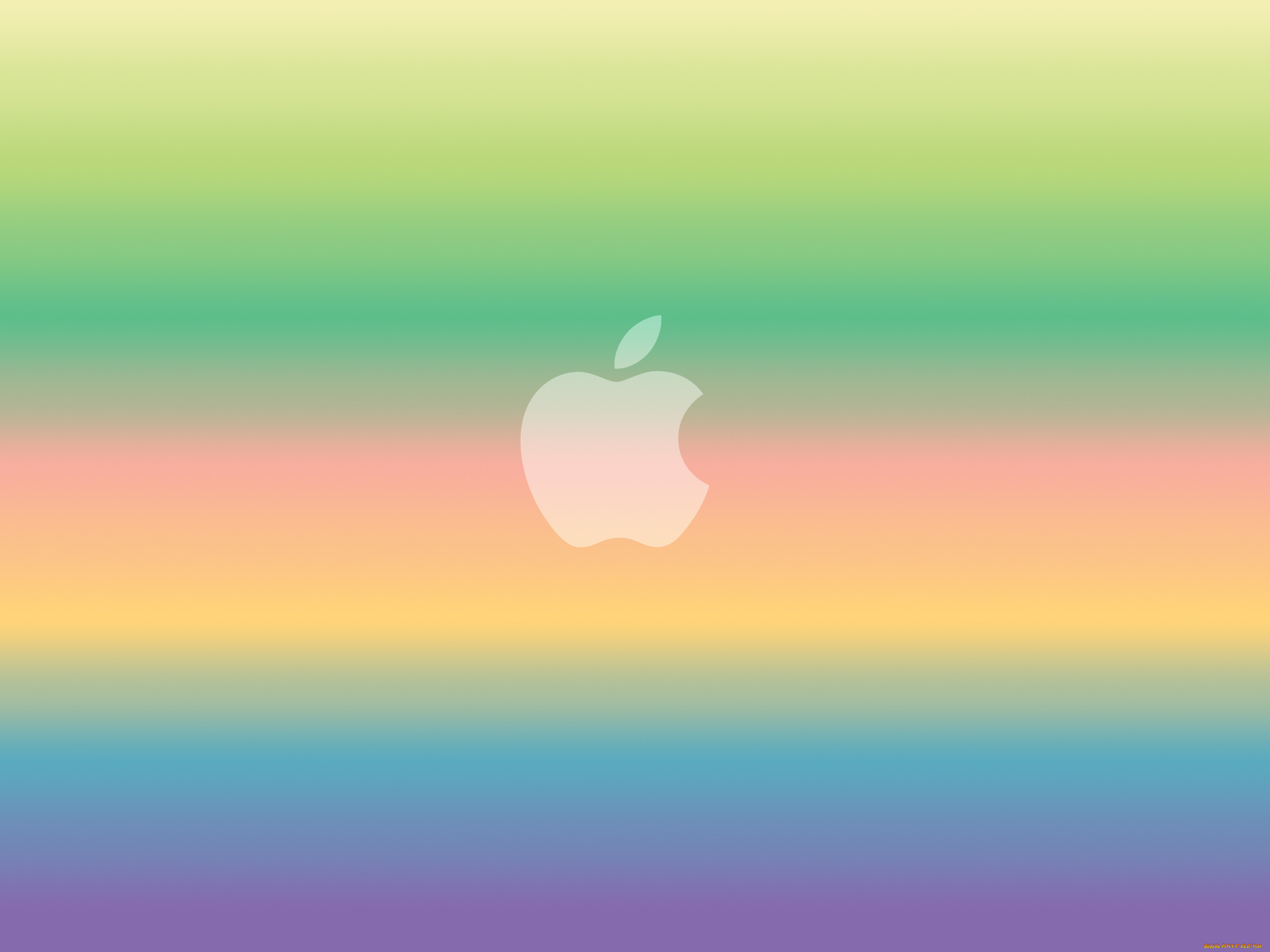 , apple, , 
